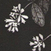 Niwako Tan'ami Gallery